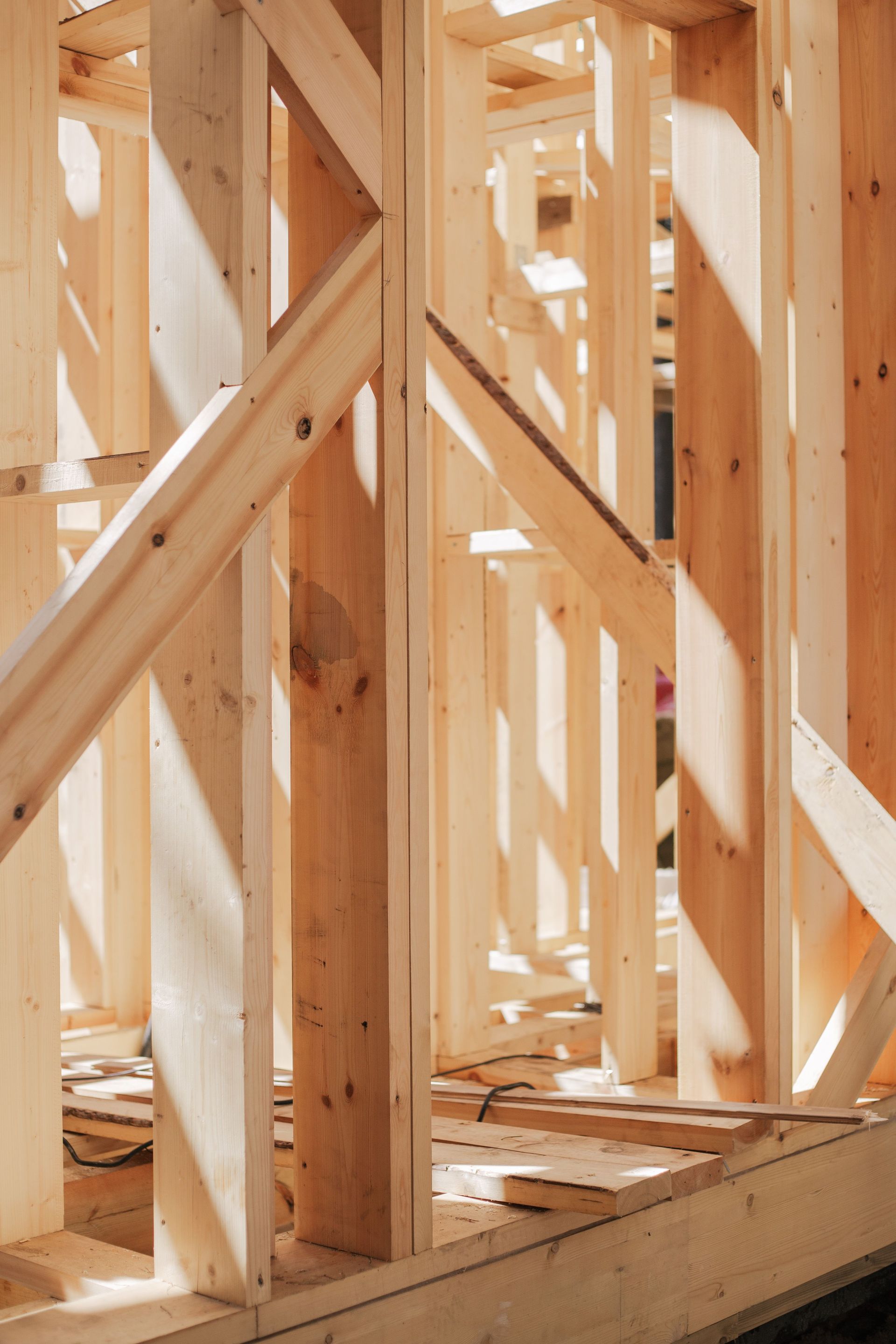 Close-up of wooden beams and framework in construction site, bathed in sunlight.